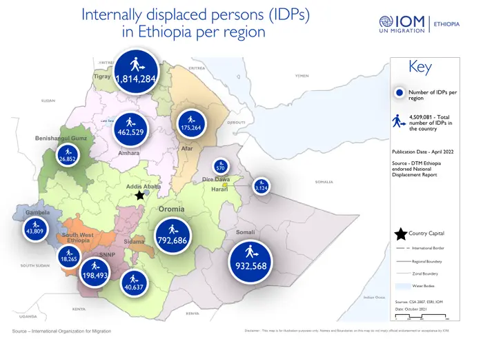 IDP challenges diagram